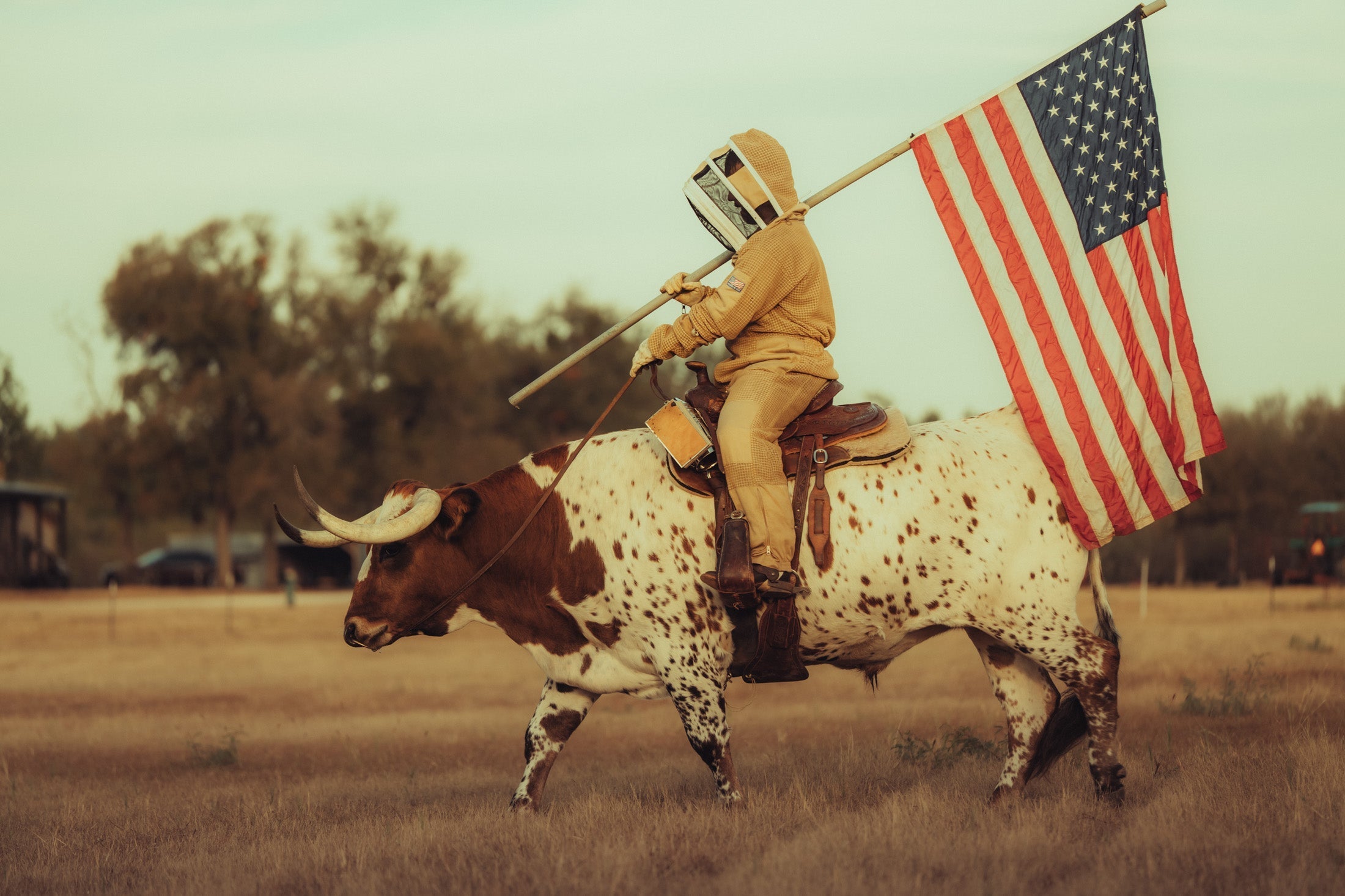 Beef Tallow Skincare